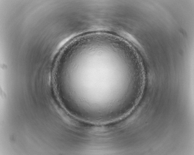 X0000091181220200708091216