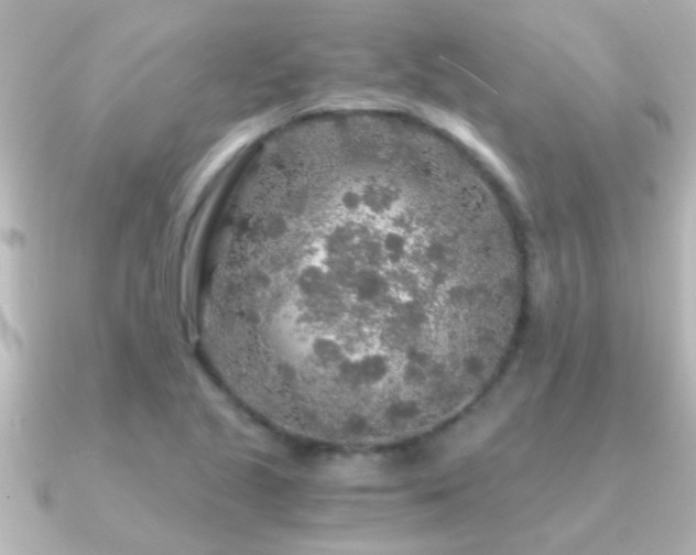X0000091181221200708091216