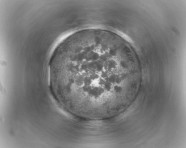 X0000091181223200708091216