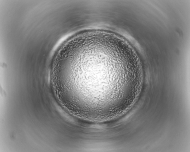 X0000091181224200708091216