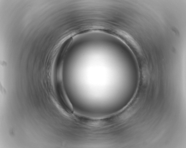 X0000091181225200708091216