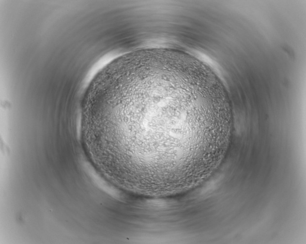 X0000091181227200708091216