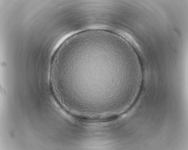 X0000091181228200708091216