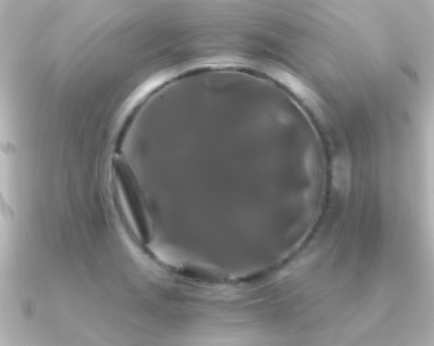 X0000091181229200708091216