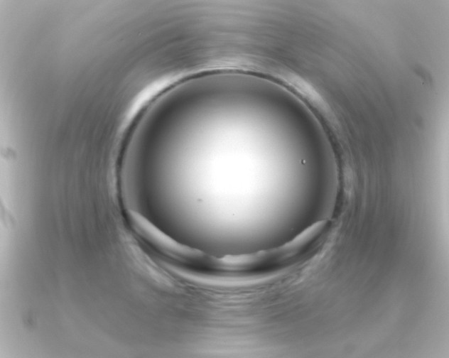 X0000091181230200708091216