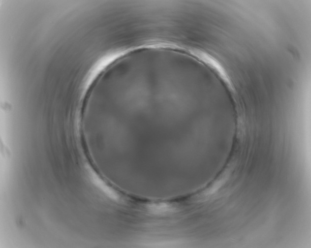 X0000091181231200708091216