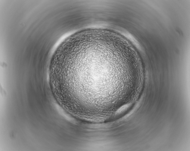 X0000091181232200708091216