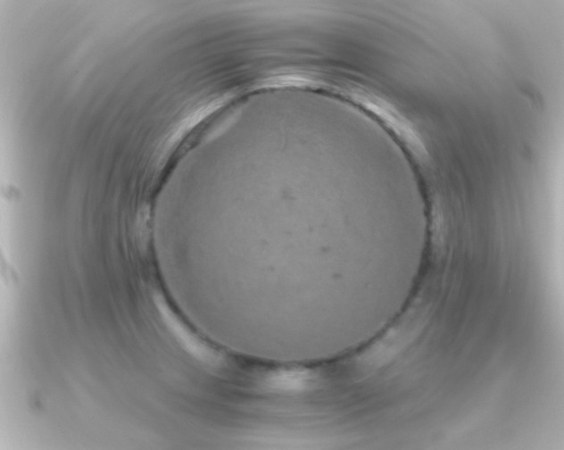 X0000091181233200708091216