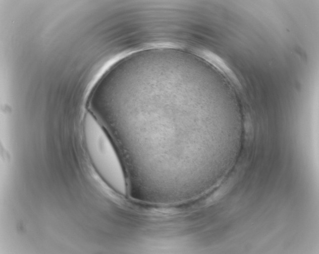 X0000091181236200708091216