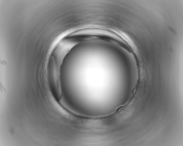 X0000091181238200708091216