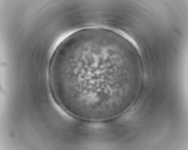 X0000091181239200708091216