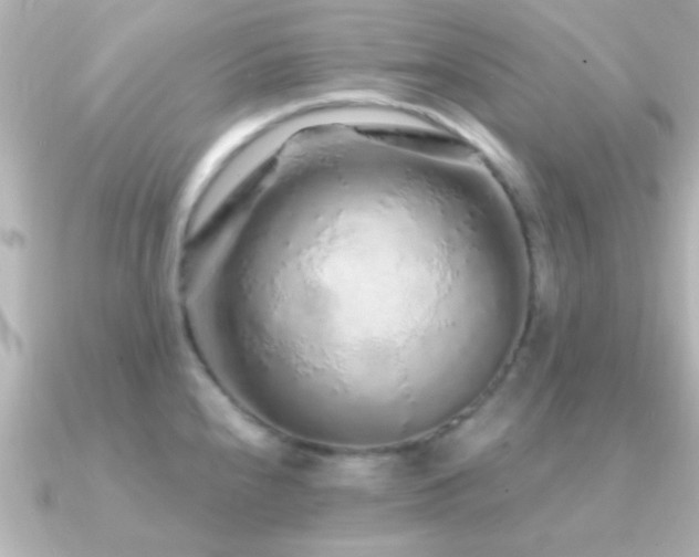 X0000091181240200708091216