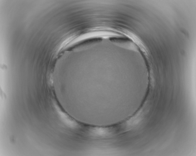 X0000091181241200708091216