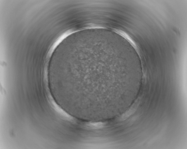 X0000091181243200708091216