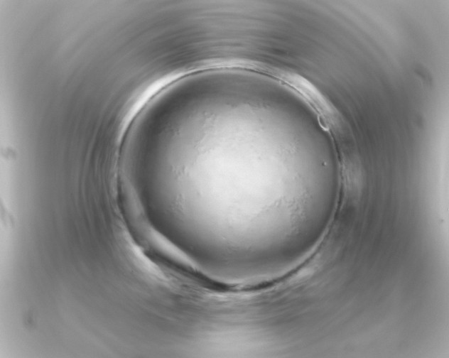 X0000091181244200708091216