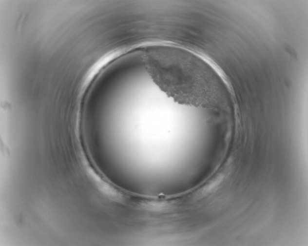 X0000091181245200708091216