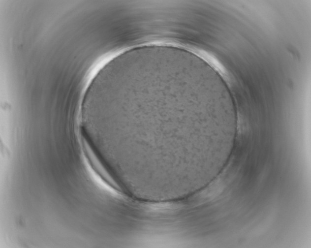 X0000091181247200708091216
