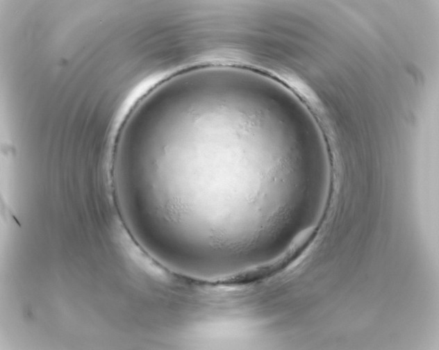 X0000091181248200708091216