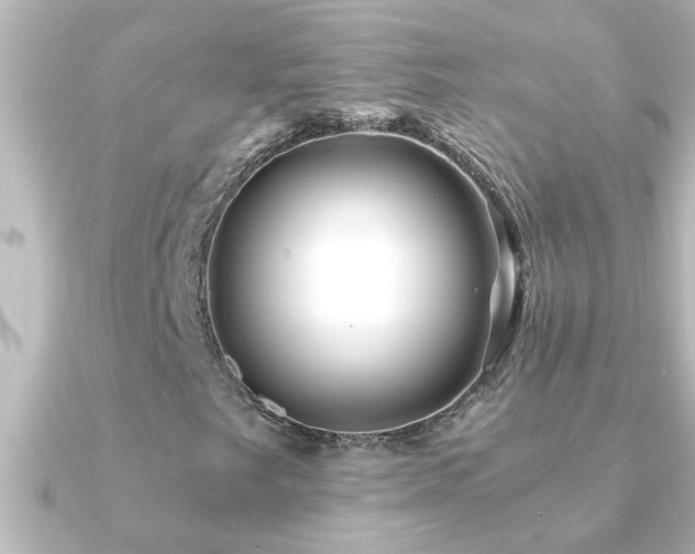 X0000091181249200708091216