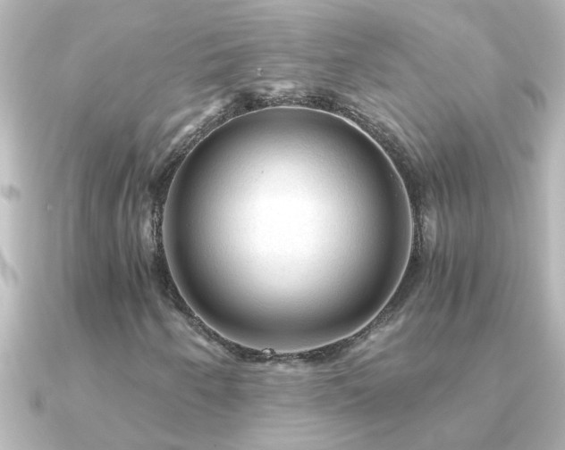 X0000091181250200708091216