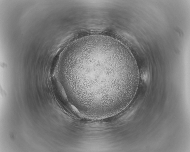 X0000091181252200708091216