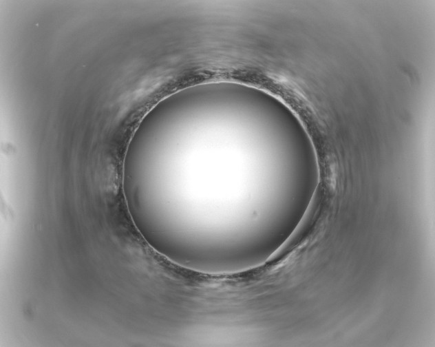 X0000091181253200708091216