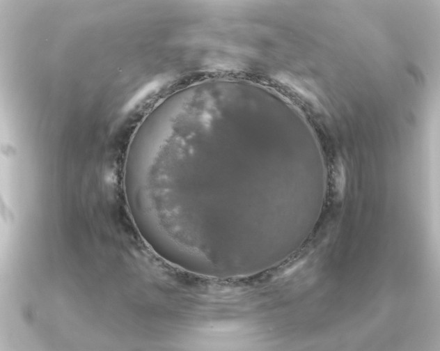 X0000091181254200708091216