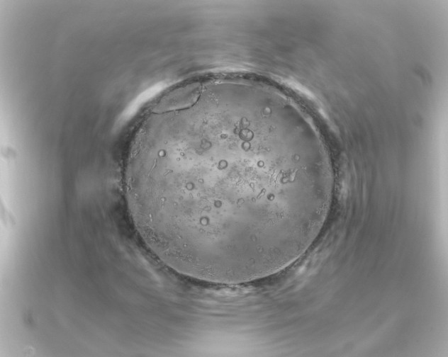 X0000091181255200708091216