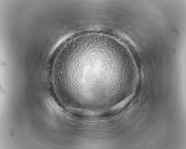 X0000091181256200708091216