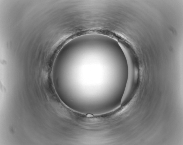 X0000091181257200708091216