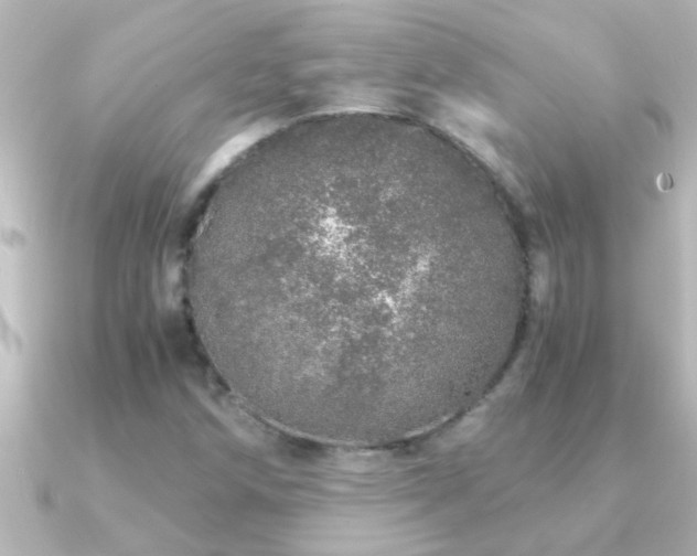 X0000091181258200708091216