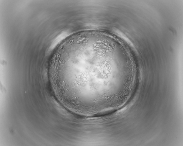 X0000091181259200708091216