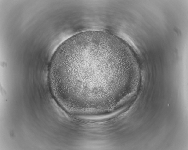 X0000091181260200708091216