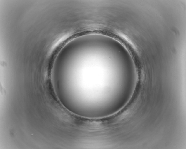 X0000091181261200708091216