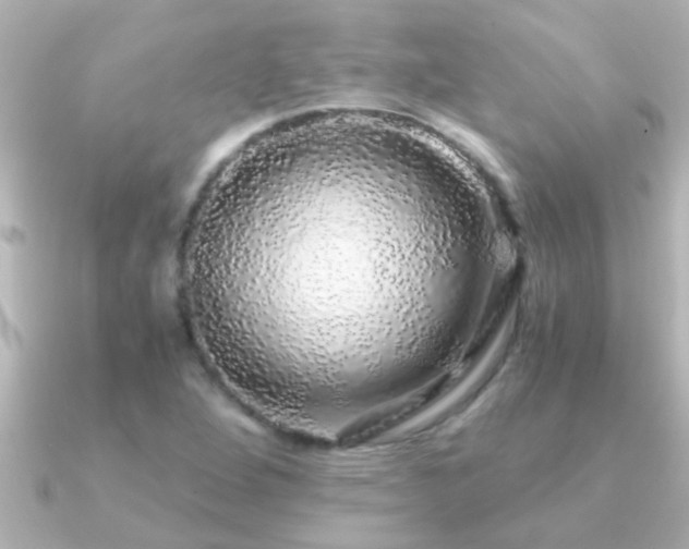 X0000091181264200708091216