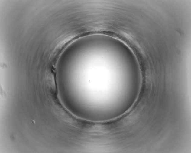 X0000091181265200708091216