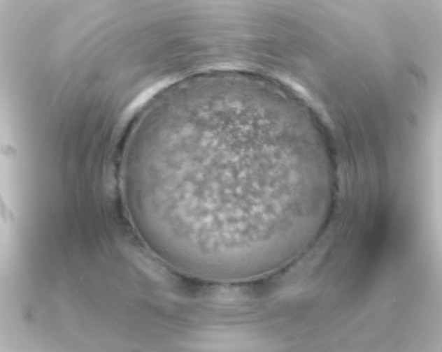 X0000091181266200708091216