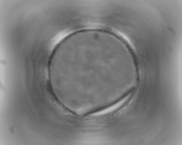 X0000091181267200708091216