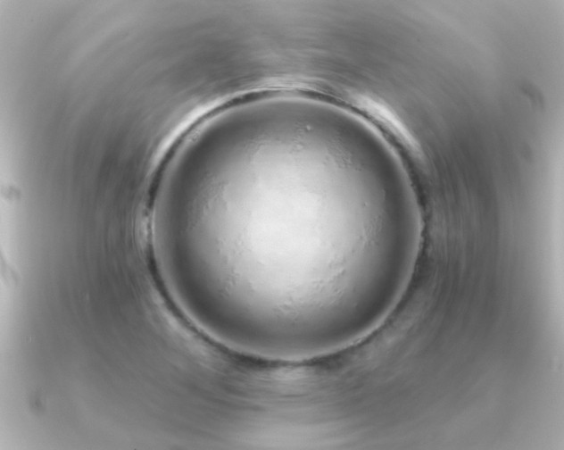 X0000091181268200708091216