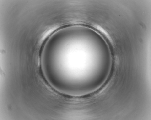 X0000091181269200708091216