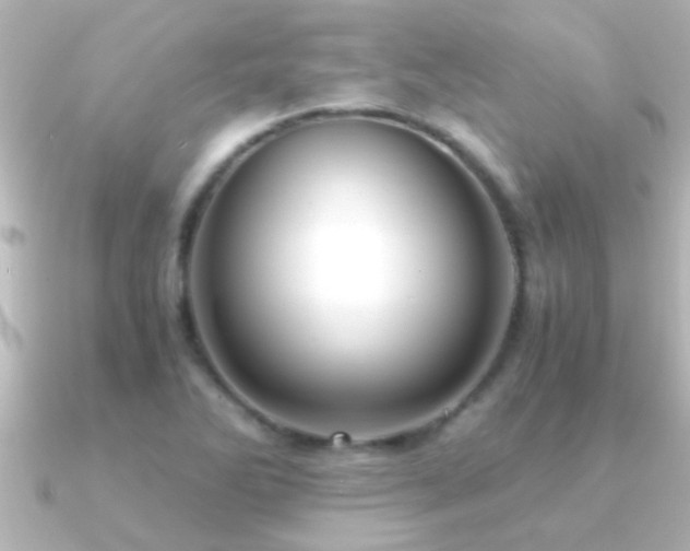 X0000091181270200708091216
