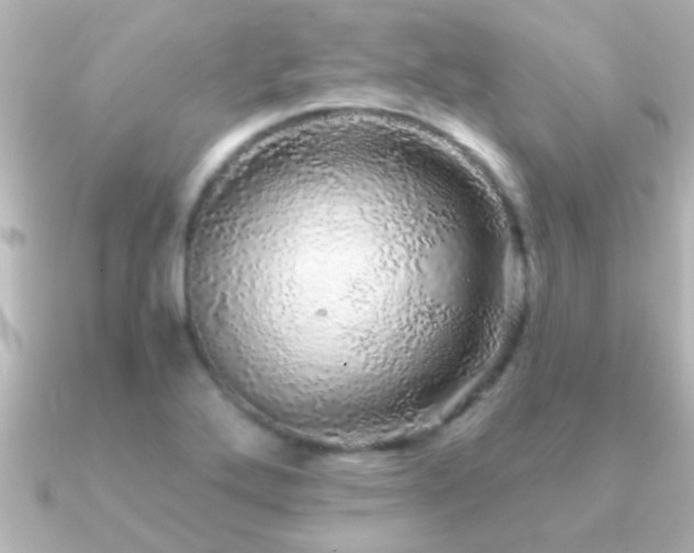 X0000091181272200708091215