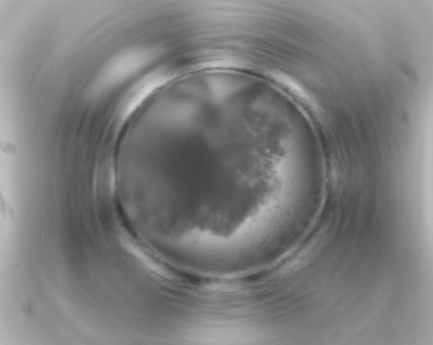 X0000091181274200708091215