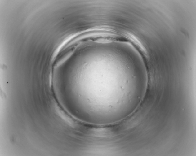 X0000091181276200708091215