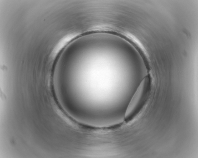 X0000091181277200708091215