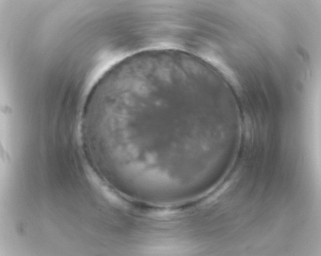 X0000091181278200708091215