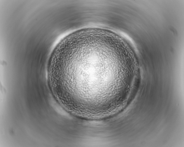 X0000091181280200708091215