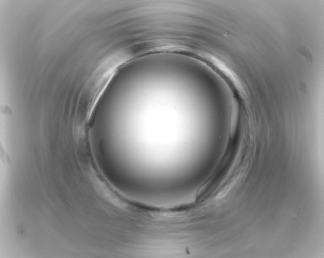 X0000091181281200708091215