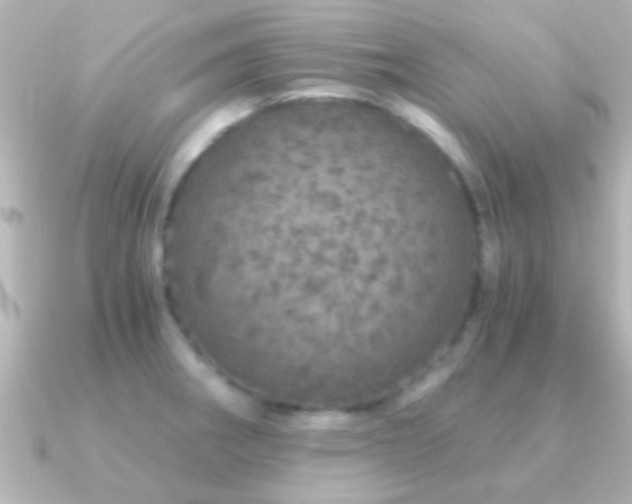 X0000091181282200708091215