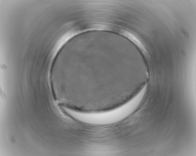 X0000091181283200708091215